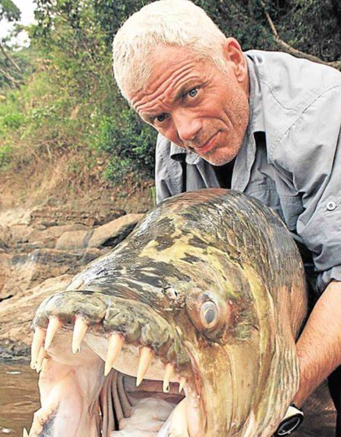 Jeremy Wade contact