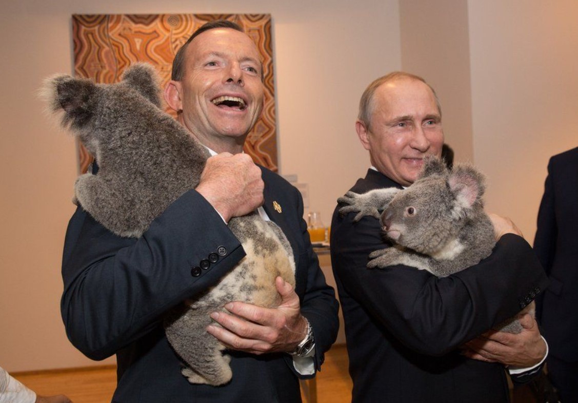 Tony Abbott photo