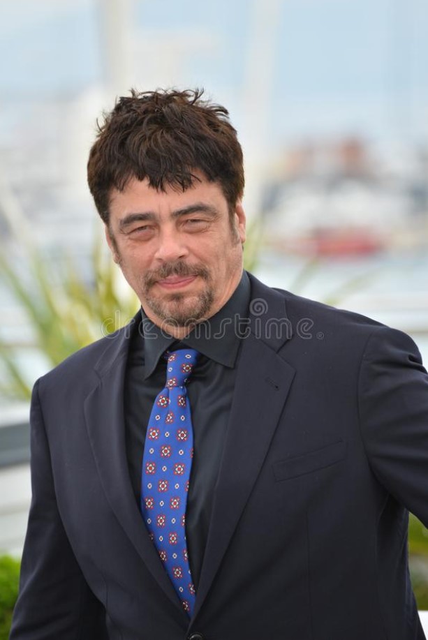 Benicio del Toro contact