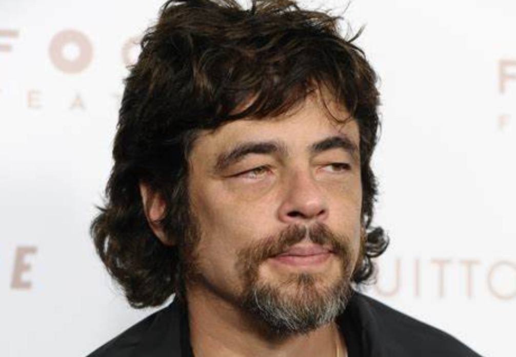 Benicio del Toro picture