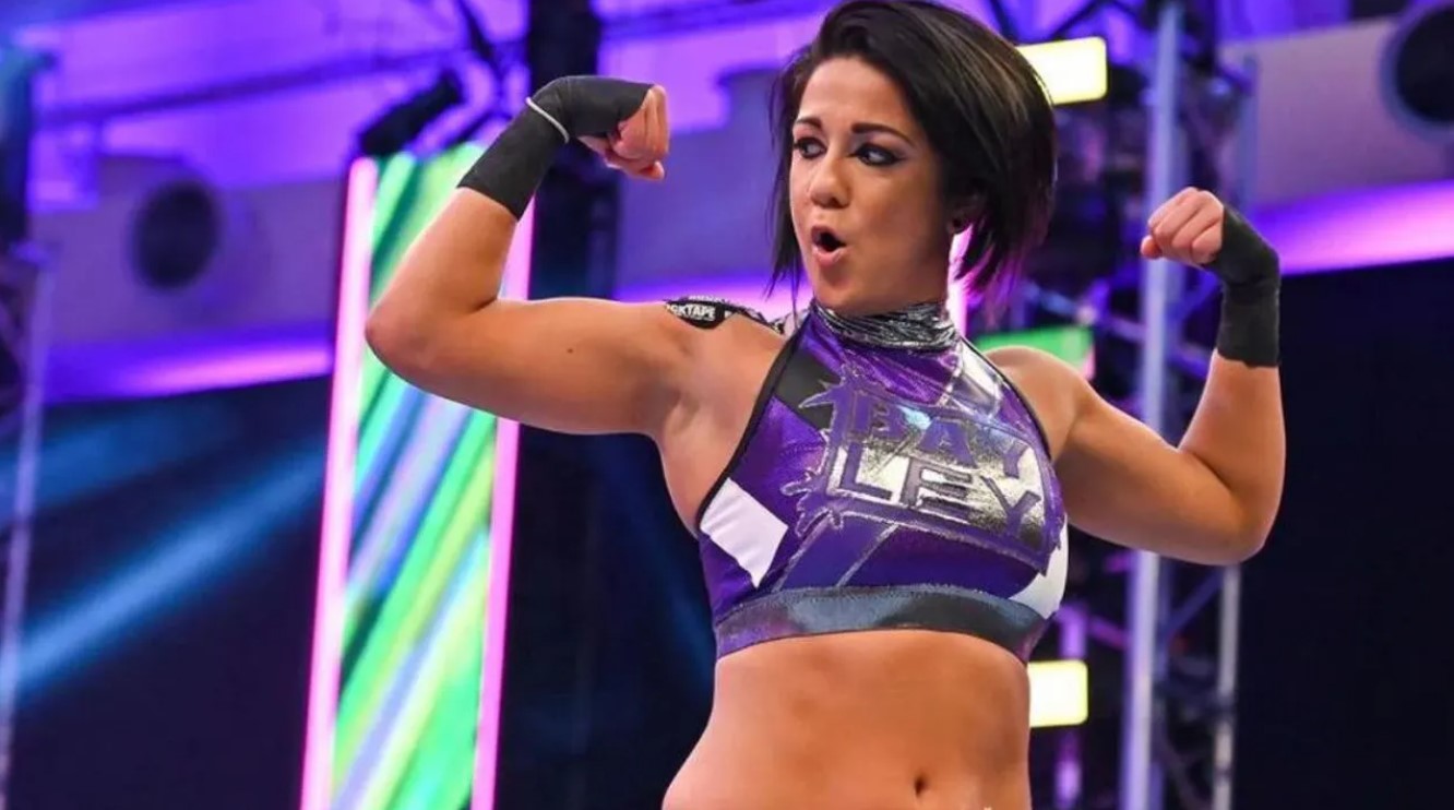 How to Contact Bayley: Phone number