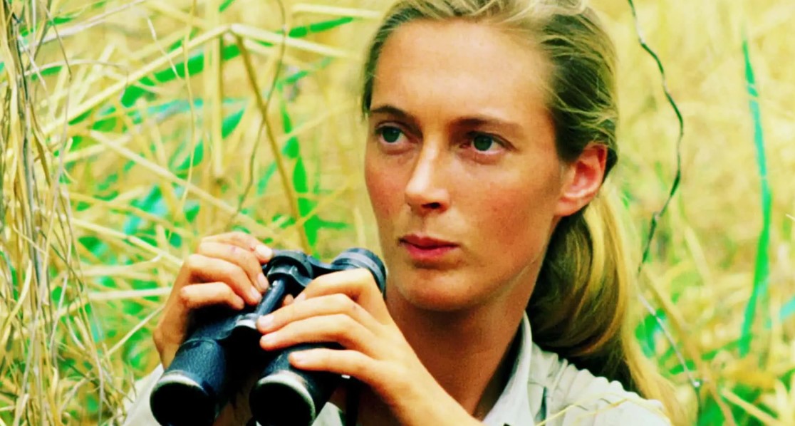 How to Contact Jane Goodall: Phone number